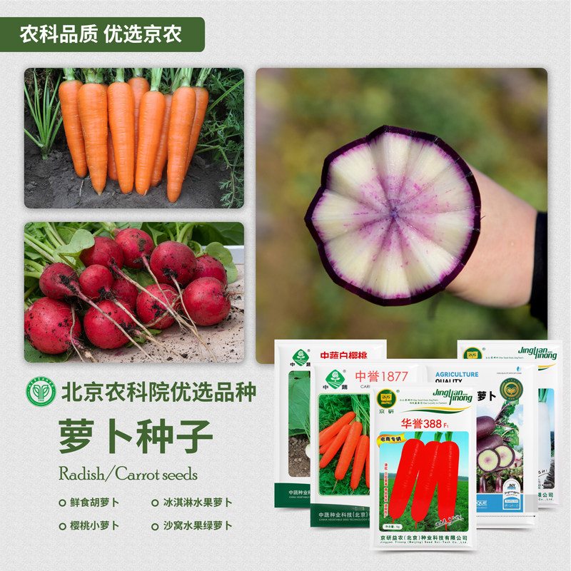 农科院萝卜种子水果胡萝卜欧防风樱桃萝卜心里美沙窝萝卜蔬菜籽孑