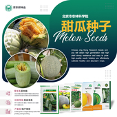 京研甜瓜种子芝麻蜜伊丽莎白哈密瓜绿宝网纹瓜羊角蜜蔬菜瓜种籽孑