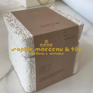 菌丝体新型环保材料产品礼盒酒盒首饰盒花盆杯托包装装饰