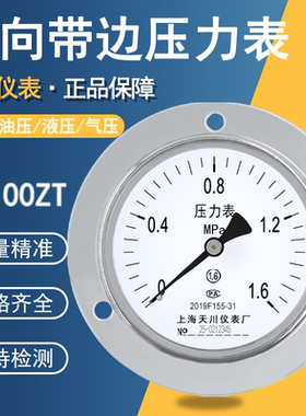 上海天川Y-100ZT轴向带边压力表真空表气压水压表油压表面板安装