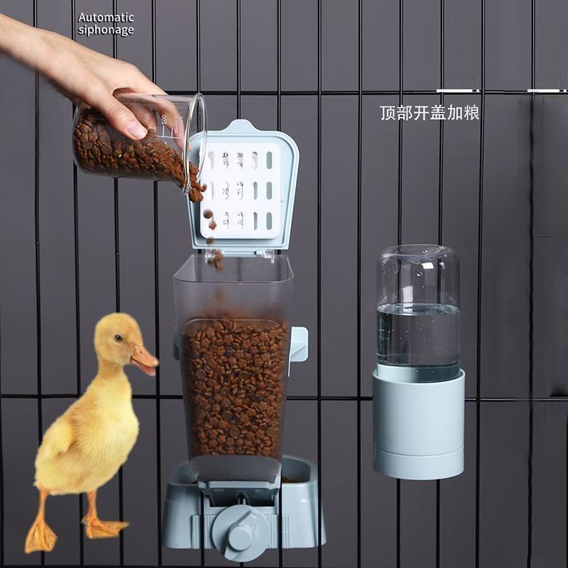 鸭子自动饮水器喂食器柯尔鸭宠物喝水壶小鸭鸡吃食盆喝饭碗专用品