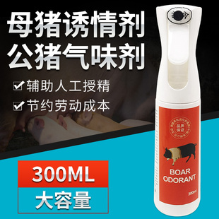 公猪气雾剂猪用诱情兽用发情种猪气味剂喷剂猪气味济母猪发情喷雾