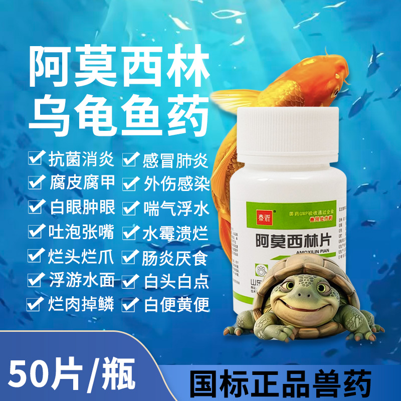 阿莫西林片兽用鸡药消炎药片