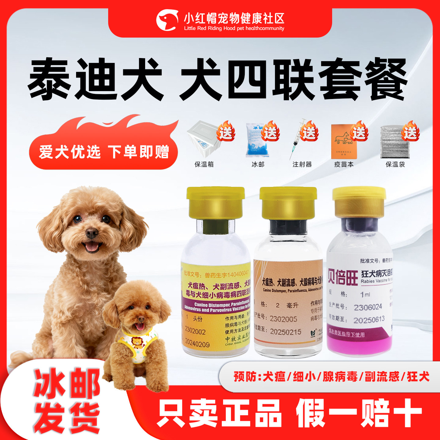 泰迪幼成犬四联疫苗一套自打套餐狂犬细小狗瘟流感预防针驱虫套装