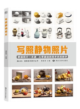 写照素描静物临摹对画构图单体