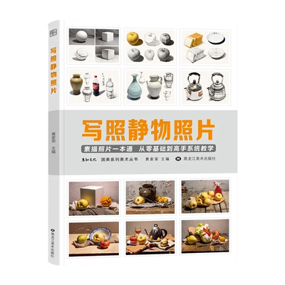 写照素描静物临摹对画构图单体