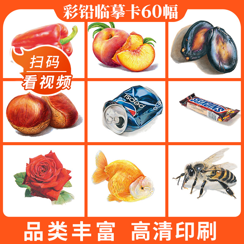 临摹综合2022一线美誉步骤对应