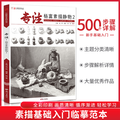 专注杨富素描静物一线教学单体