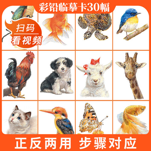 一线美誉高清双面印刷