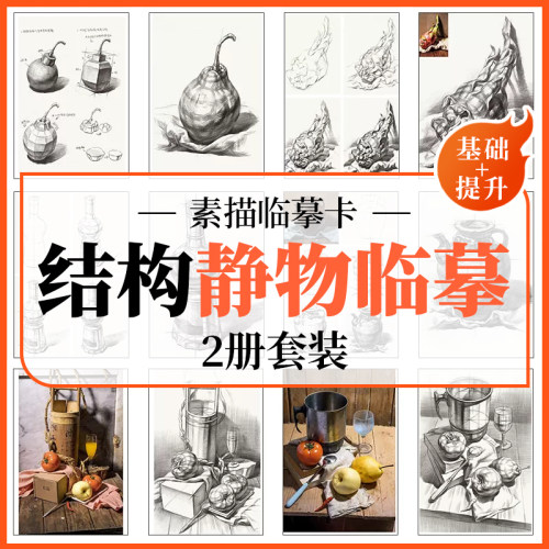 正版一线美誉素描单体结构