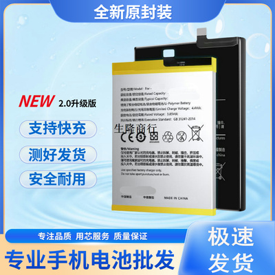 适用于Realme真我GT电池Neo大容量极速版大师版 原厂原装正品