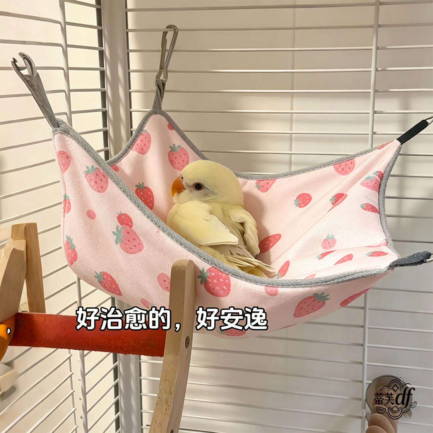 鹦鹉睡窝鸟窝夏季悬挂吊床玄凤小太阳笼内装饰用品夏千小宠用品