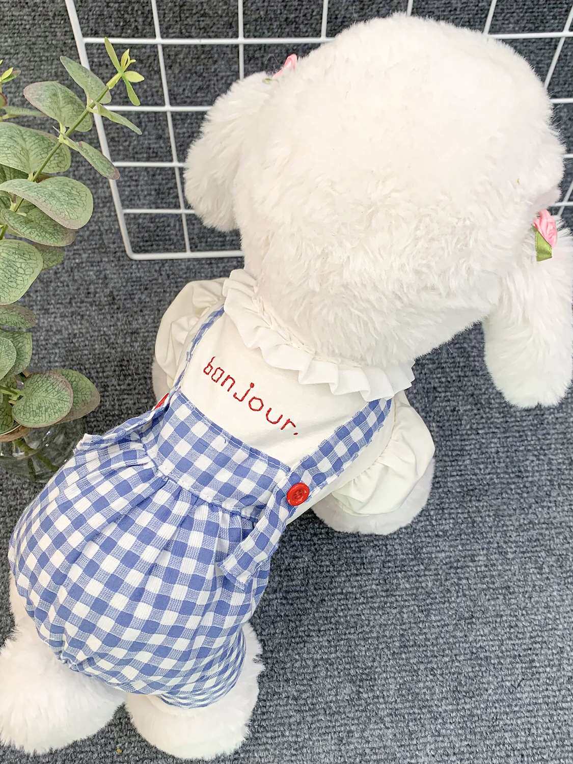 PETCIRCLE 宠物狗狗衣服比熊春装四脚衣休闲防脏可爱小型犬背带裤