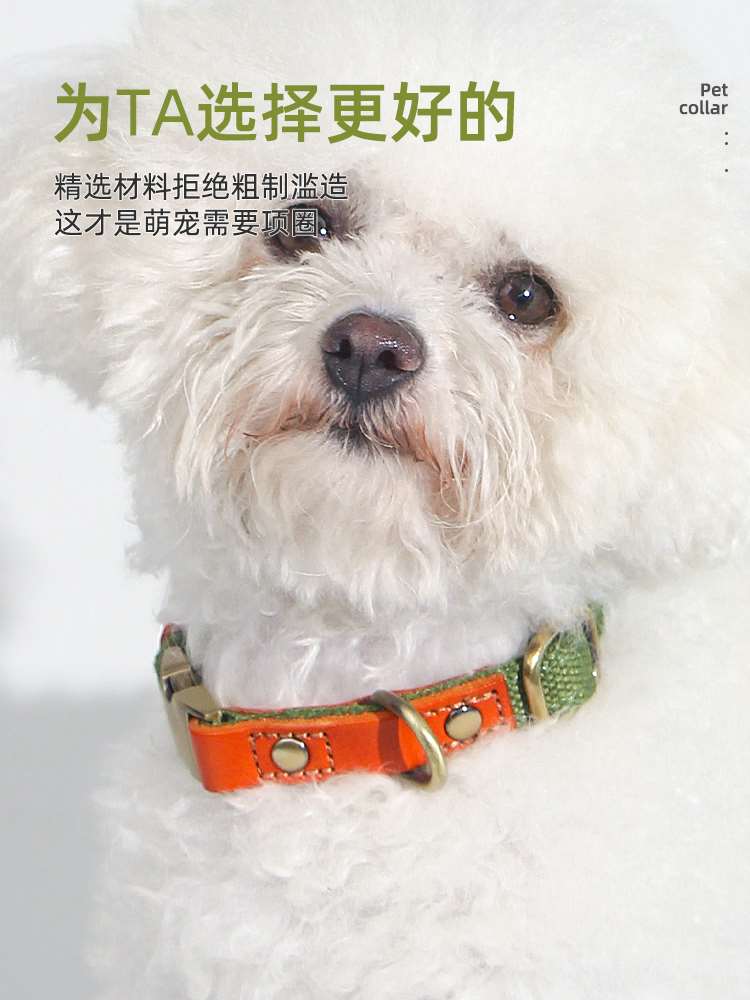 狗狗项圈刻字防走丢狗脖圈狗牌子中大型犬宠物颈圈脖套宠物吊牌