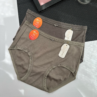 8081绵羊毛女士中腰内裤 蕾丝边柔软舒适纯色桑蚕丝裆暖芯纱