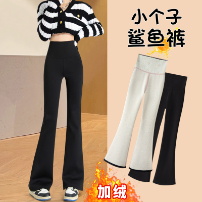 小个子微喇鲨鱼裤高腰瘦腿裤加绒