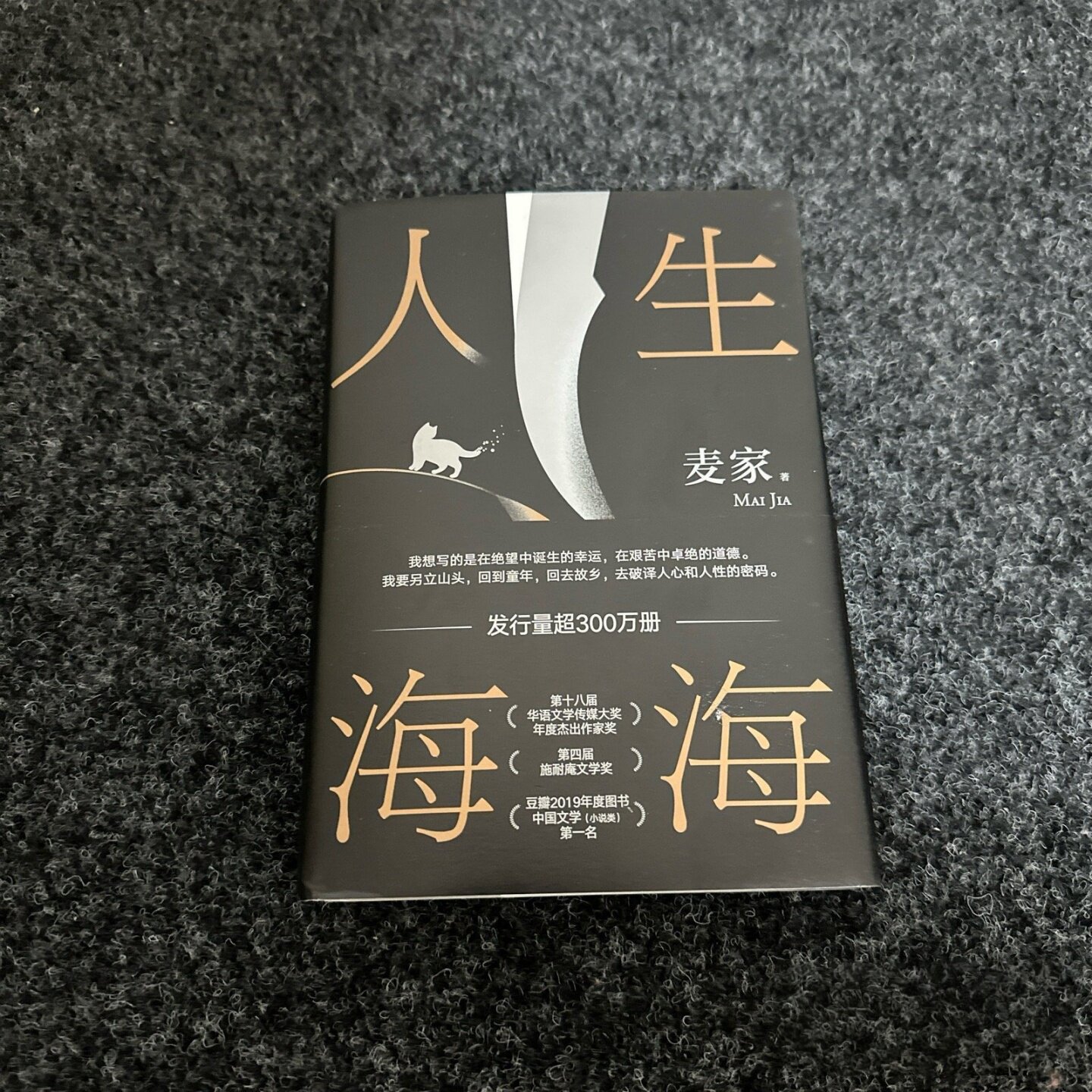 正版旧书 人生海海 麦家 著 北京十月文艺出版社 2019-04 精装