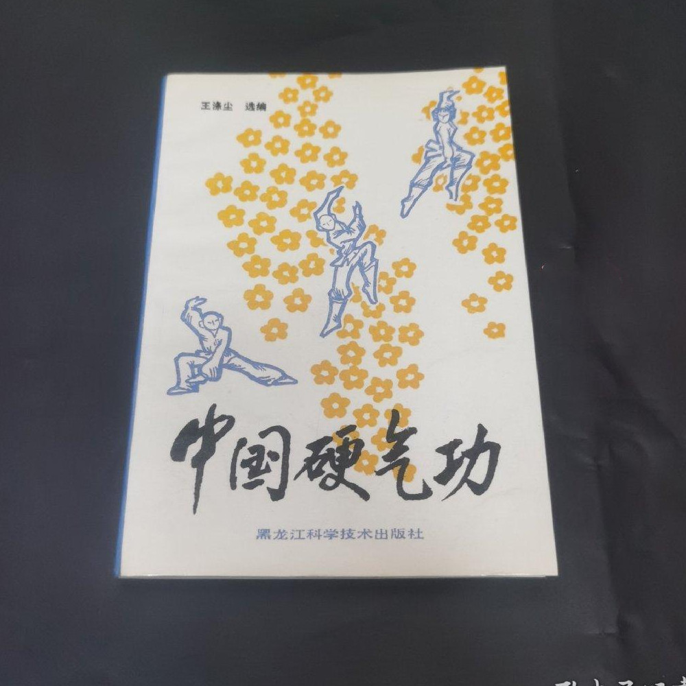 正版旧书 中国硬气功 武术武功硬气功功法强身健体金钟罩铁布衫图片