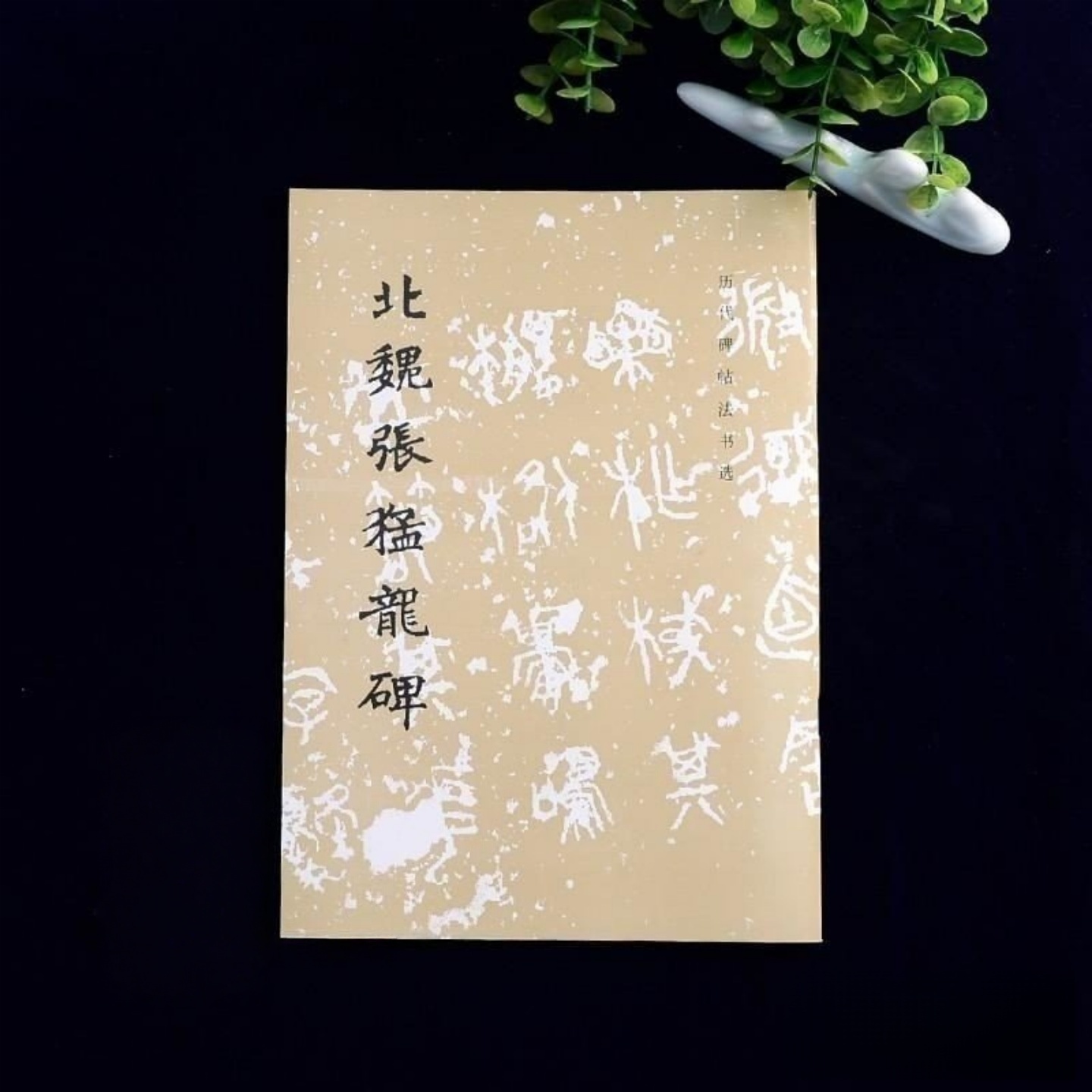 正版旧书 北魏张猛龙碑 文物出版社 历代碑帖法书选 16开隶书毛笔字帖 原碑帖