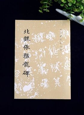 正版旧书 北魏张猛龙碑 文物出版社 历代碑帖法书选 16开隶书毛笔字帖 原碑帖