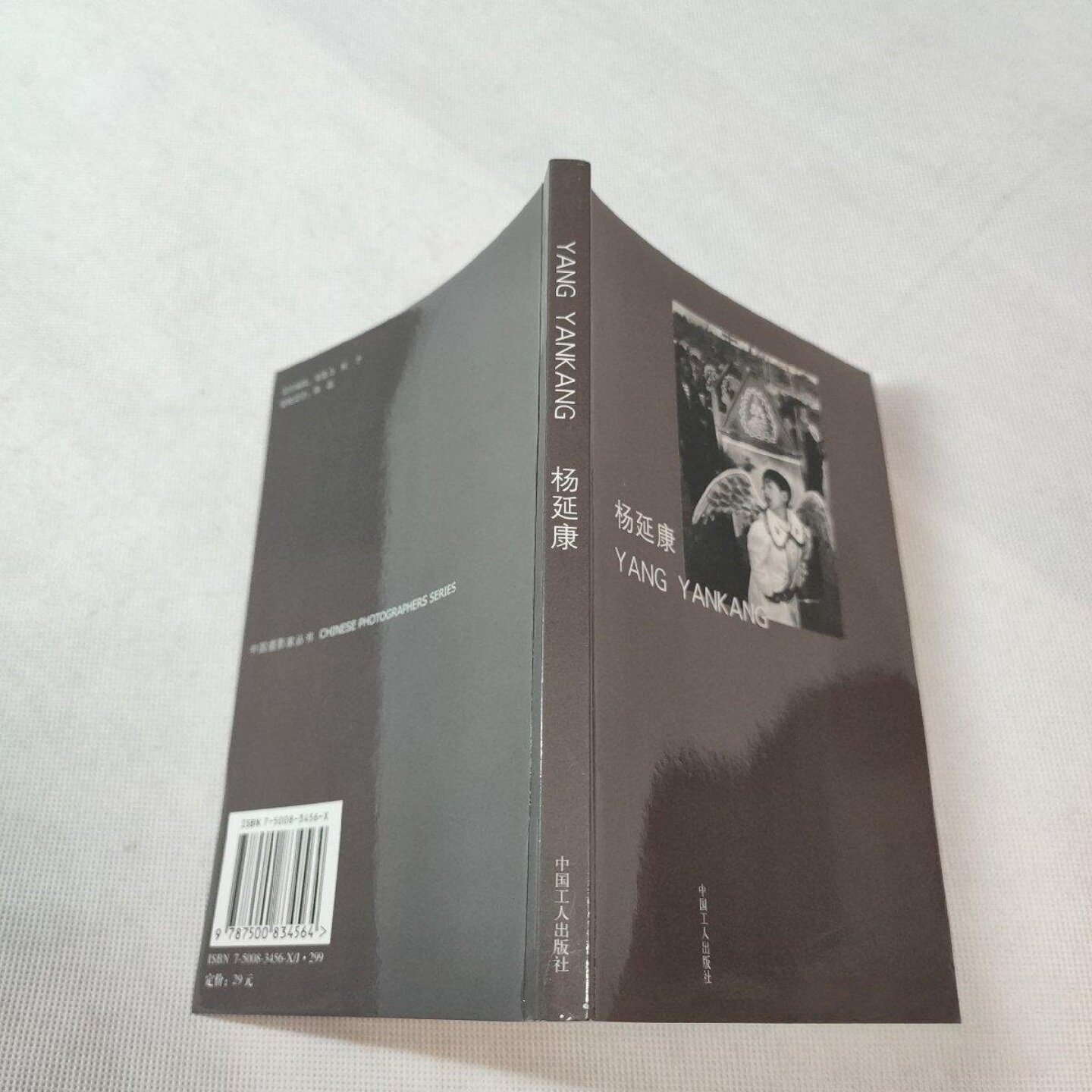 正版旧书 中国摄影家丛书 杨延康  中国工人出版社 2005-01