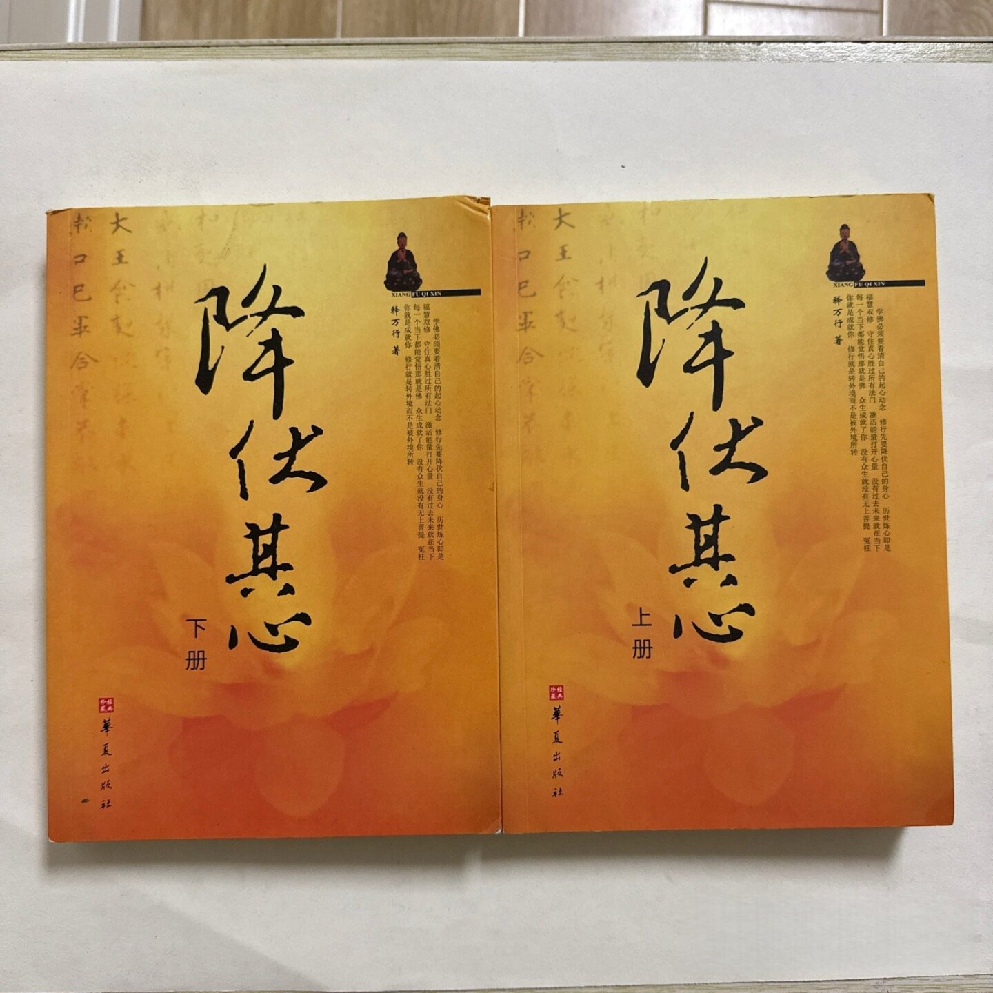 正版旧书 降伏其心（上下册）释万行 著 华夏出版社 2007