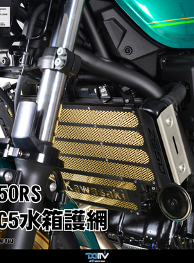 德国 Dimotiv KAWASAKI 川崎 Z650RS RPC5散热水箱护网 DMV