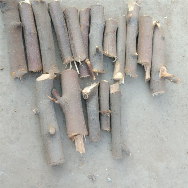 速发木柴不柴小柴包干邮