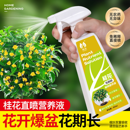 速发免花释桂花营养液肥料专用肥栽用桂稀树盆家养花卉绿植通用肥