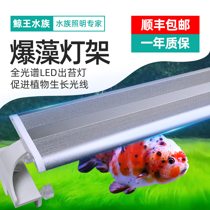 速发爆藻灯架出苔支架灯灯寿兰鱼缸灯灯明光谱超亮照全灯