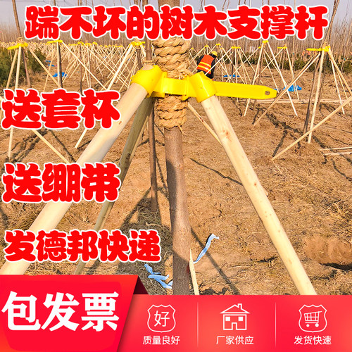 树木支撑架防风固定大树木棍园林绿化树木支撑杆固定套杯三四脚架