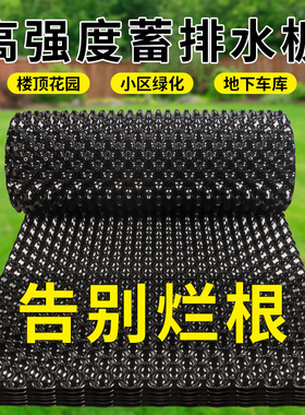 屋顶花园排水板种菜楼顶绿化蓄水板滤水板双面阻根板控根器土工布