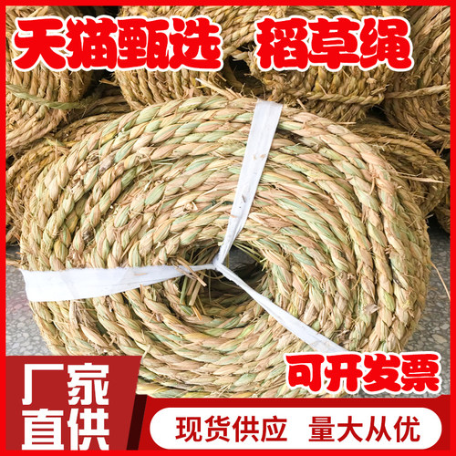 草绳捆绑树木移栽包扎土球防冻