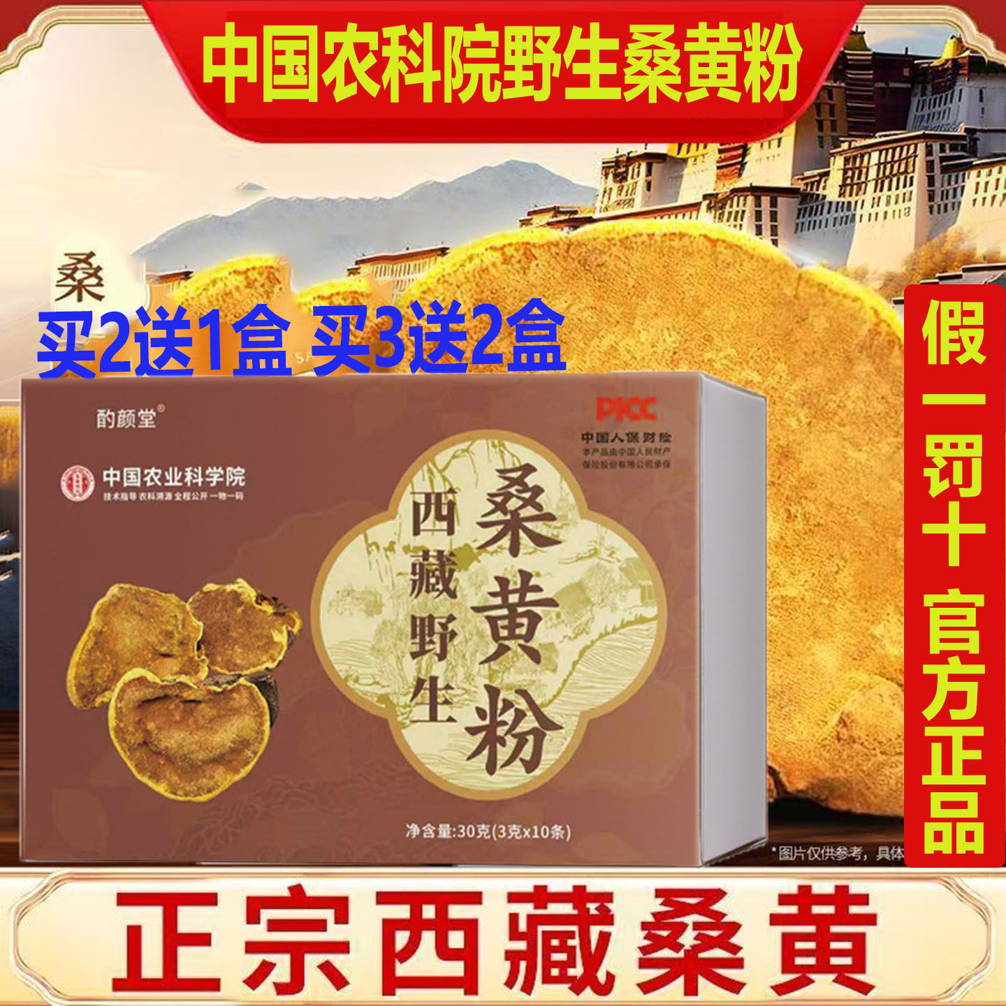 中国农业科院野生桑黄粉西藏桑黄超细粉独立包装无硫无杂野生无硫