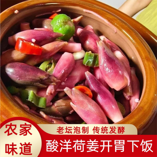 酸洋荷姜腌制泡菜陕南安康土特产新鲜阳荷姜洋火姜下饭菜湖北恩施