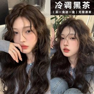 冷调黑茶色染发剂膏2026新款流行色免漂植物纯黑茶色深棕色在家染