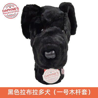 黑色拉布拉多犬DRIVER