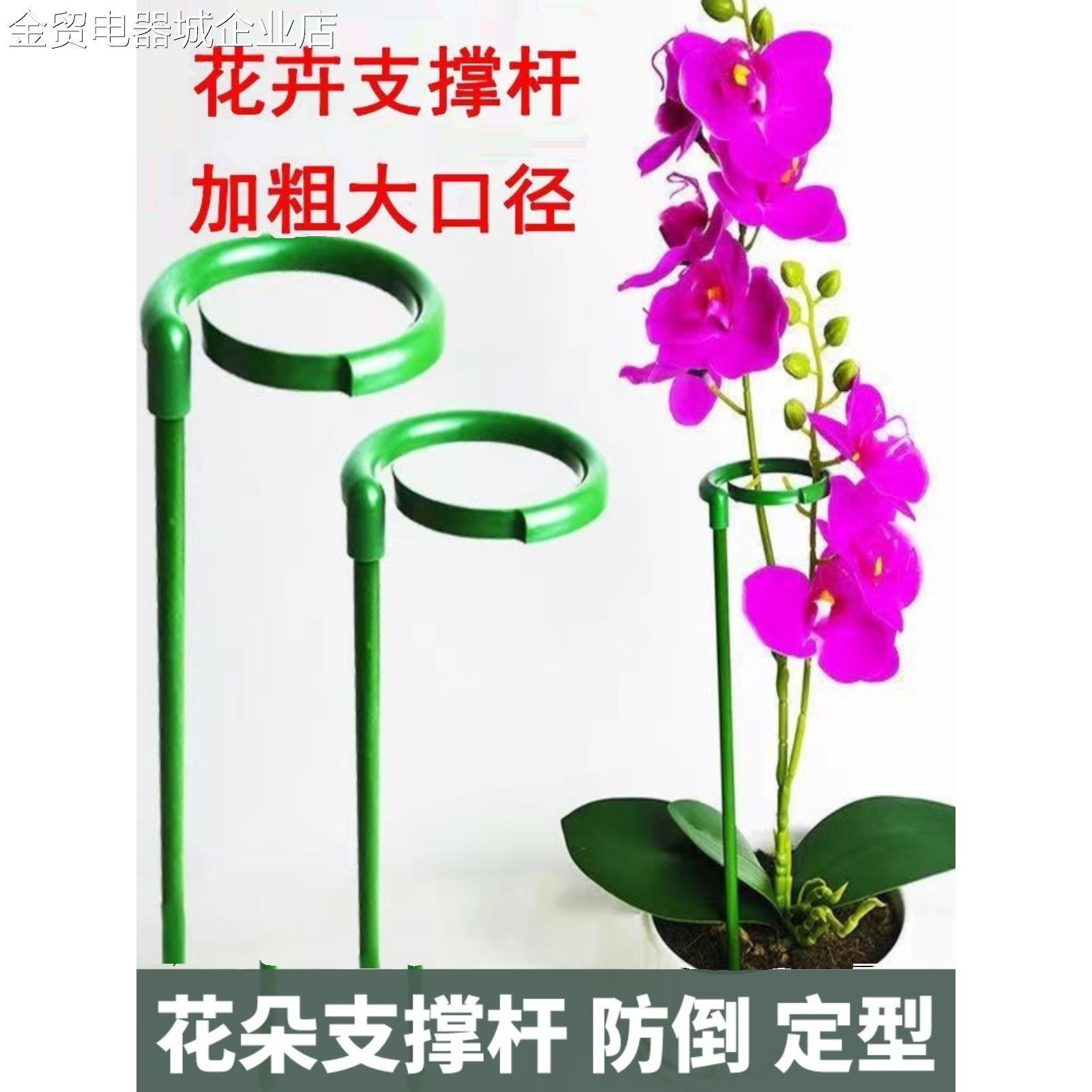 花架子植物园艺固定架室外花卉造型支撑杆蝴蝶兰爬藤防倒伏花支架