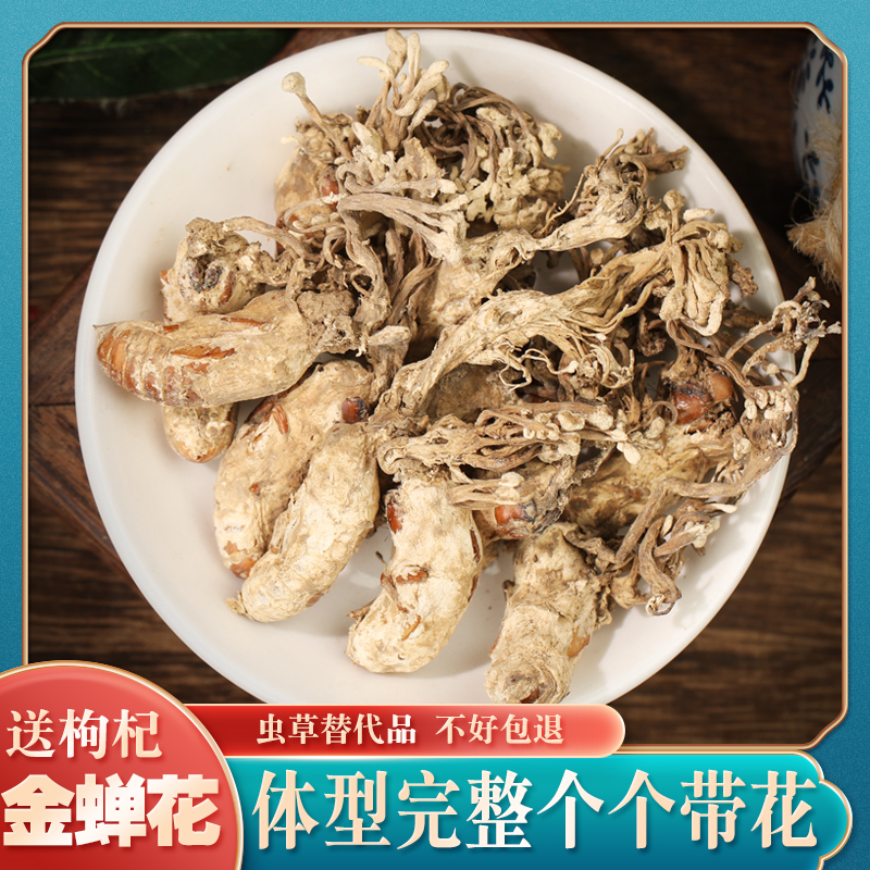 金蝉花100g野生 蝉花虫草新货知了花中药材金蚕花大别山野生竹林