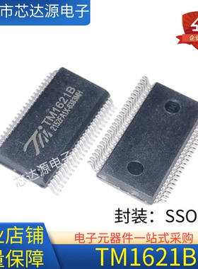 全新正品 TM1621B HK1621B HT1621B  封装SSOP48 LCD面板显示驱动