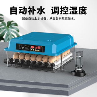 孵化器小型家用全自动智能小鸡孵化箱鸟蛋鸡蛋芦丁鸡孵化机孵蛋器