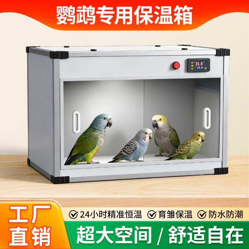 鹦鹉保温箱风暖保温箱宠物保温箱幼鸟雏鸟恒温箱0天玄凤牡丹