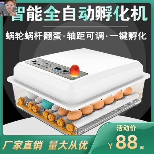 大型孵化器价格 大型孵化器图片 星期三