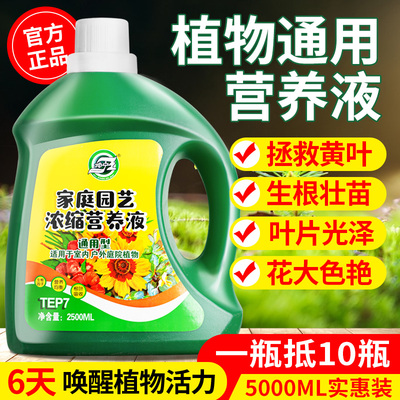 【一次爆盆】植物通用营养液