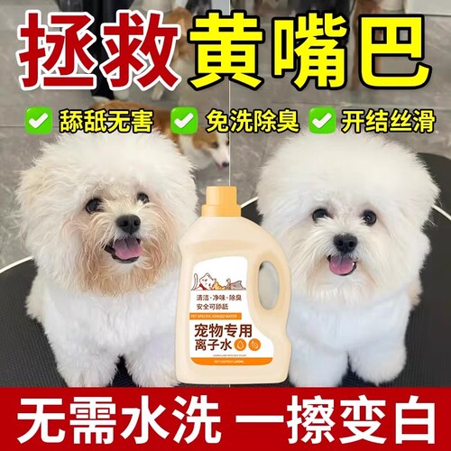 宠物沐浴露干洗剂|嘴巴黄去污