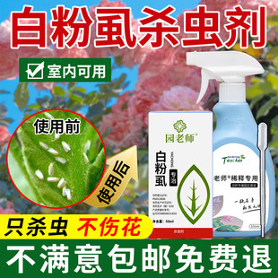 白粉虱专用杀虫剂花药白粉虱虫卵双杀专杀养花小白飞虱特效专用药