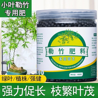 小叶勒竹专用肥勒竹营养液室内盆