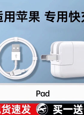 【官方正品】适用于ipad充电器头mini5/Air/2/3/4/6/8苹果9平板Type-C数据线ipadpro充电线12w快充10原套装