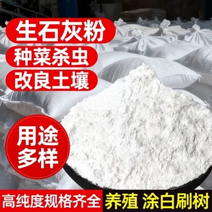 生石灰种菜专用杀虫正宗石灰粉干燥剂除湿家用鱼塘消毒白灰粉防虫