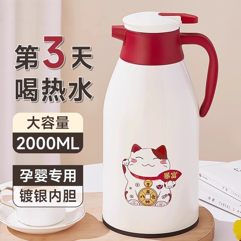 德国保温壶家用2025新款大容量暖水瓶玻璃内胆办公室宿舍学生茶壶